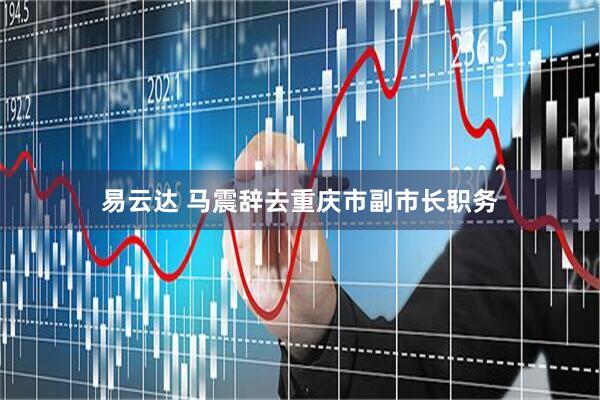 易云达 马震辞去重庆市副市长职务